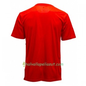 Jalkapallo Pelipaidat Iran World Cup 2018 Vieraspaita